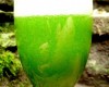 Zielone orzeźwienie (napój)